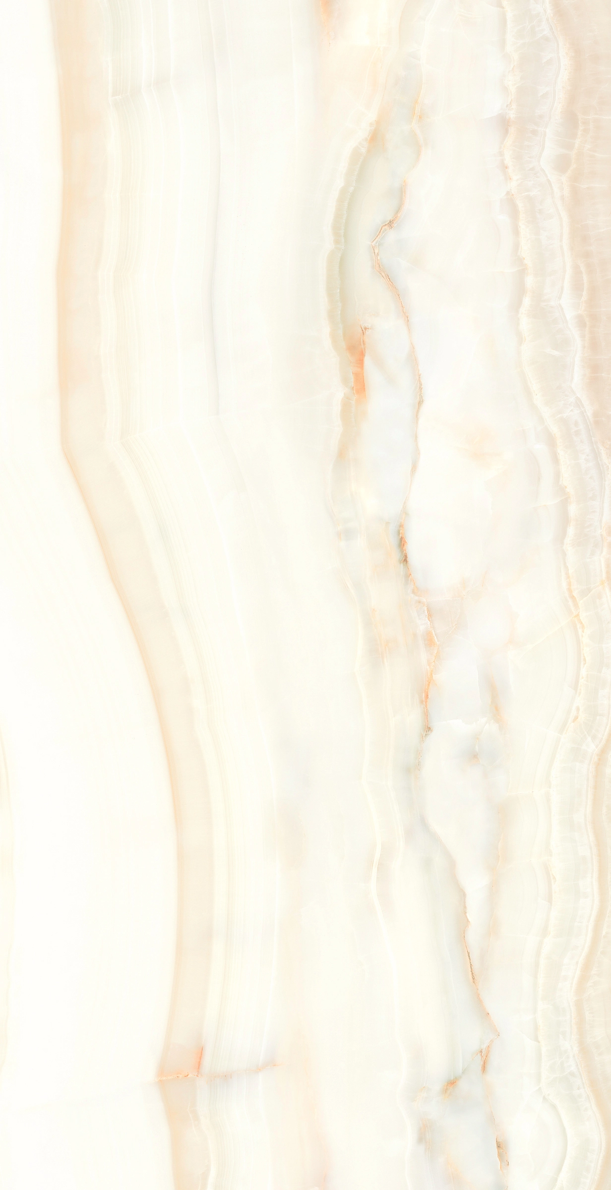 Ava ceramica Onici Aethetica Wilde 120x240 cm